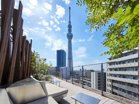 Rooftop terrace