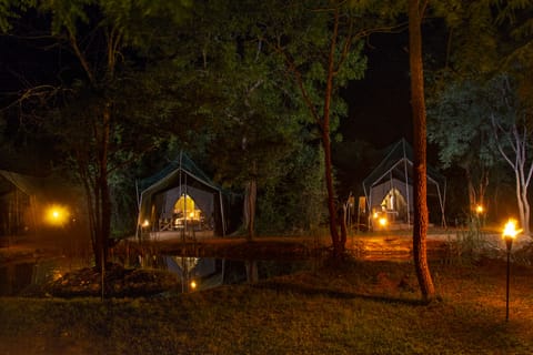 BBQ/picnic area