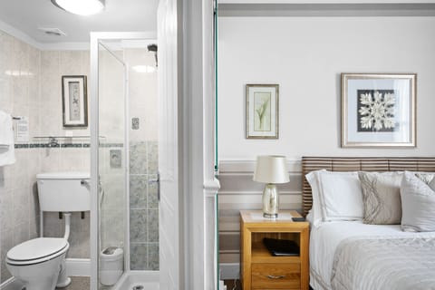 Superior Double Room | Bathroom | Shower, free toiletries, hair dryer, towels