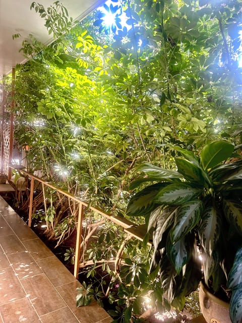 Queen Room with Garden View (Room 3) | Porch
