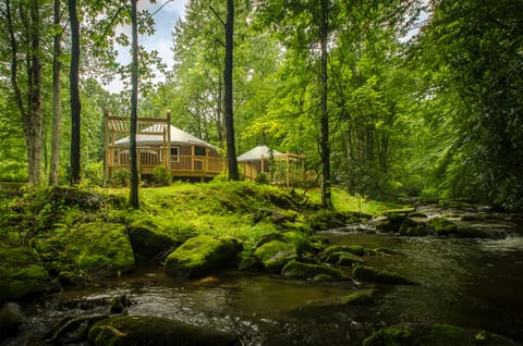 Spring Ridge 2 Bedroom Luxury Yurt | 2 bedrooms, premium bedding, iron/ironing board, free WiFi
