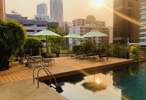 Outdoor pool, sun loungers