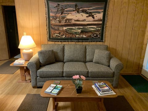 Cabin #2 | Living room | Fireplace