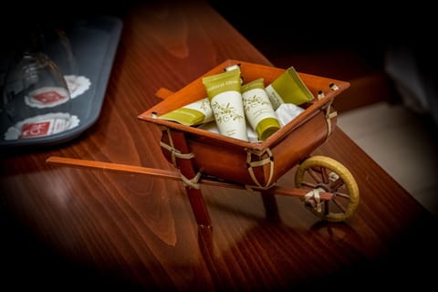 Single Room | Bathroom amenities | Shower, free toiletries, hair dryer, bathrobes