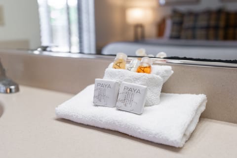 Combined shower/tub, free toiletries, hair dryer, towels