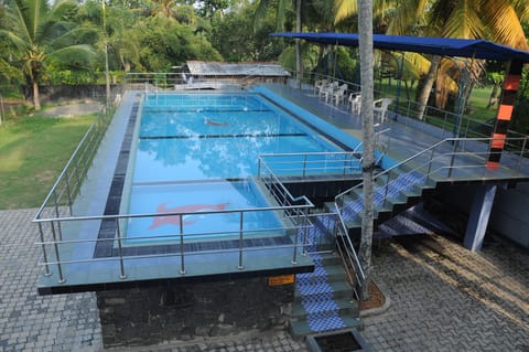 Outdoor pool, sun loungers