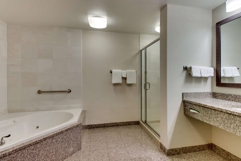 Combined shower/tub, free toiletries, hair dryer, towels