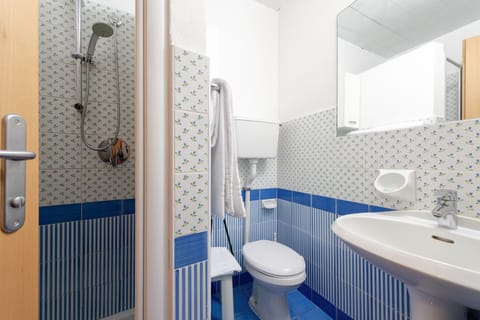 Hair dryer, bidet, towels