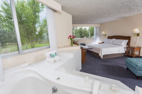 Desk, iron/ironing board, free cribs/infant beds, free WiFi