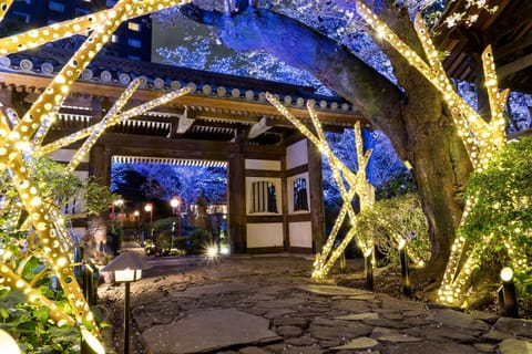 Japanese garden
