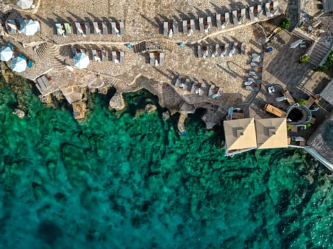 Beach bar