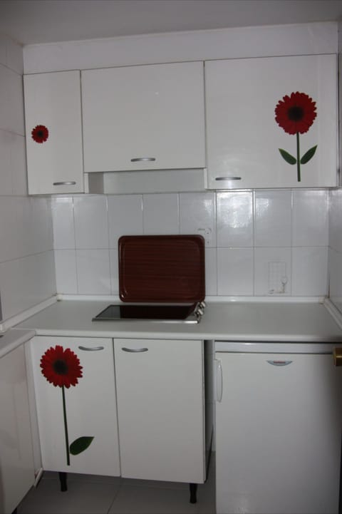 Full-size fridge, microwave, stovetop, electric kettle