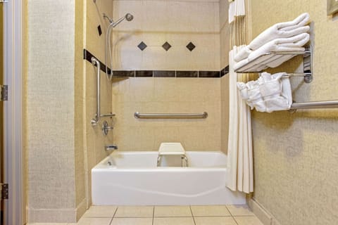 Combined shower/tub, free toiletries, hair dryer, towels