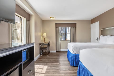 Standard Double Room, 2 Double Beds | Room amenity