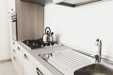 Panoramic Apartment, 1 Bedroom | Private kitchen | Full-size fridge, oven, stovetop, coffee/tea maker