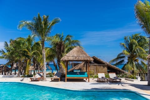 Outdoor pool, sun loungers