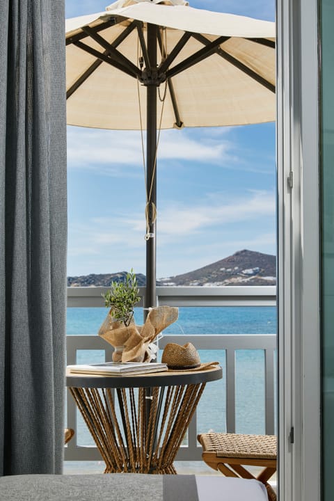 Studio (Double) | Terrace/patio