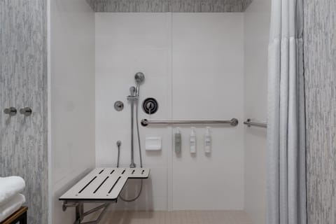 Room, 1 King Bed, Accessible, Non Smoking | Bathroom shower