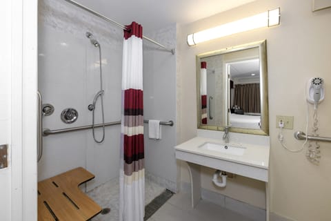 Room, 1 King Bed, Accessible, Non Smoking (Roll-In Shower) | Bathroom | Combined shower/tub, hair dryer, towels