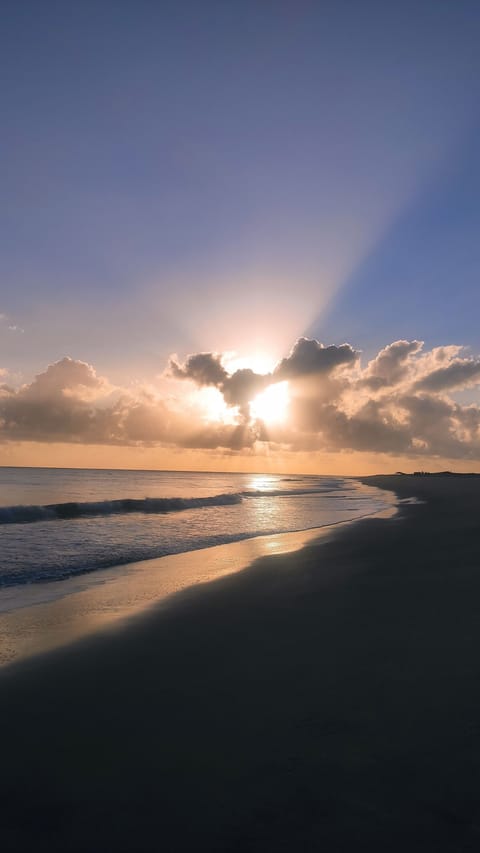 On the beach, white sand, free beach cabanas, beach shuttle