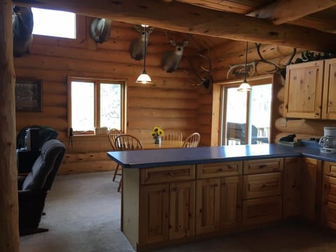 kitchen island/dining room