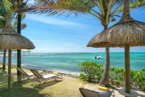 On the beach, sun loungers, snorkeling
