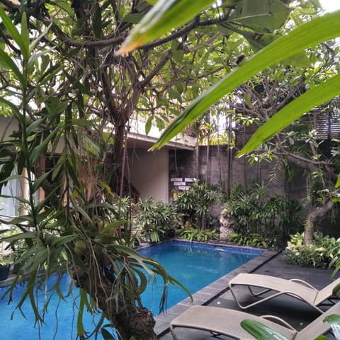 Outdoor pool, sun loungers