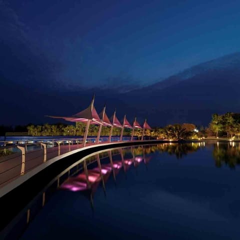 Outdoor wedding area