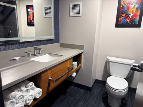 Shower, free toiletries, hair dryer, towels