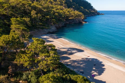 Beach nearby, beach umbrellas