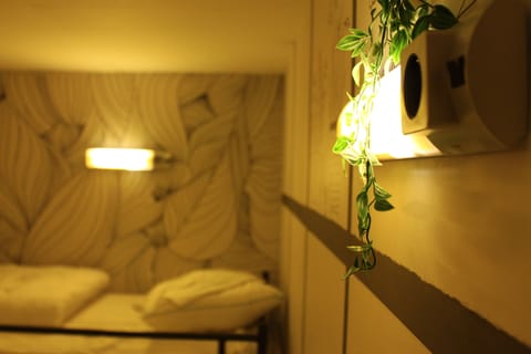 Basic Shared Dormitory, Women only | In-room safe, free WiFi, bed sheets