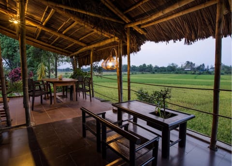 Comfort Double Room | Terrace/patio