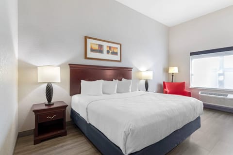Room, 1 King Bed, Non Smoking | Premium bedding, desk, blackout drapes, iron/ironing board