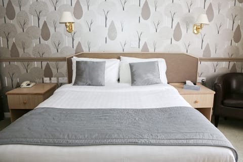 Superior Double or Twin Room | Iron/ironing board, free WiFi, bed sheets