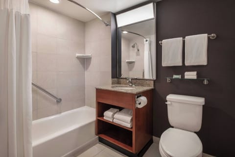 Combined shower/tub, free toiletries, hair dryer, towels