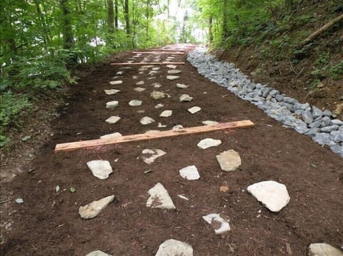 Short 50ft Trail Off Back Yard Leads You To Lake.