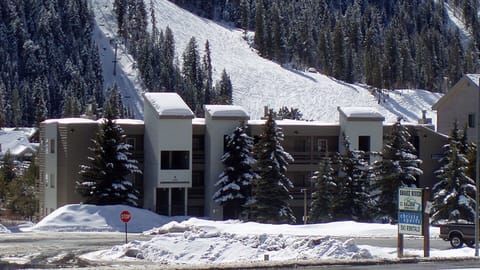 Cinnamon Ridge II