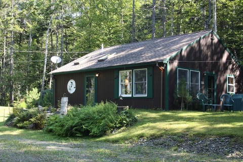 View from the driveway