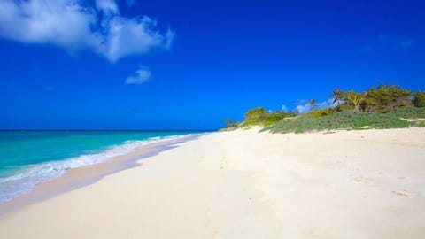 Beach in Front of the Apartment - Great for long walks 