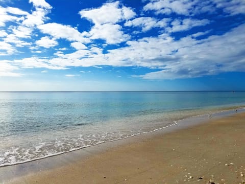 Swim, kayak, paddle board or walk our amazing beach. 