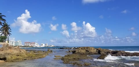 Ocean Park Beach (just a few walking minutes away).