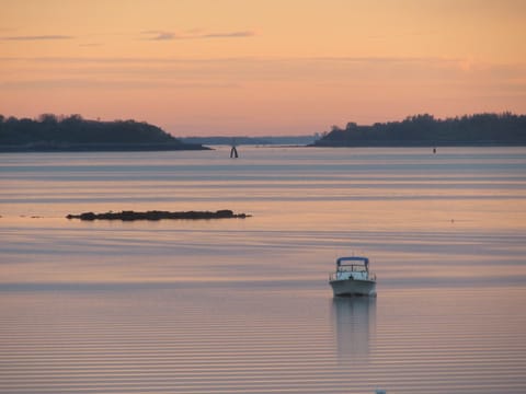 Photo at dawn, from the house.