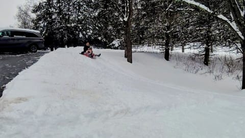 ❄️ Sleigh Rides Right Here on the Property - sleigh provided