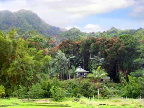 Nestled in the lush Wainiha River Valley, your private piece of paradise.