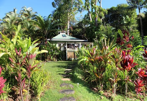 Perched on a bluff in a lush and ancient mango grove.