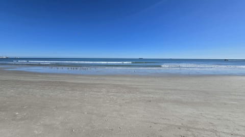 Sandy shores
