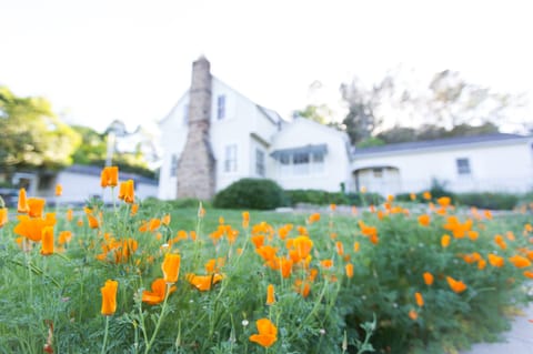 House is surrounded by wildflowers!!