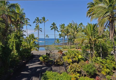 View from living room.  Richardson's Beach Park across the street.