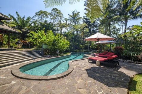 Outdoor Pool Surrounded by Sun Loungers
