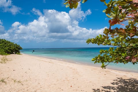 Beach in front of Coral Sands  building, never crowded